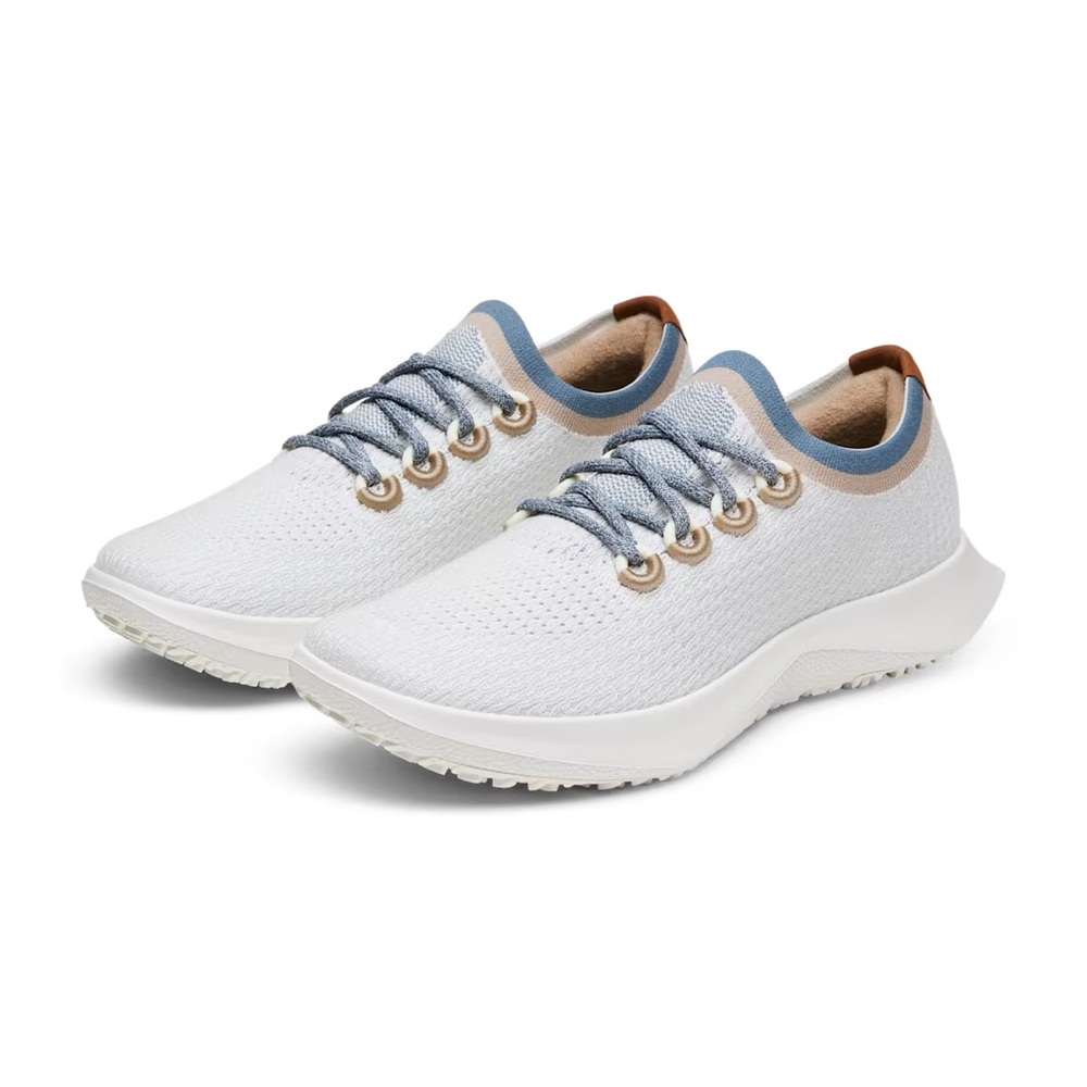 Allbirds Tree Dasher 2 Blizzard in Rustic Cobalt